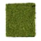SuperMoss&#xAE; Instant Green All-Purpose Moss Mat